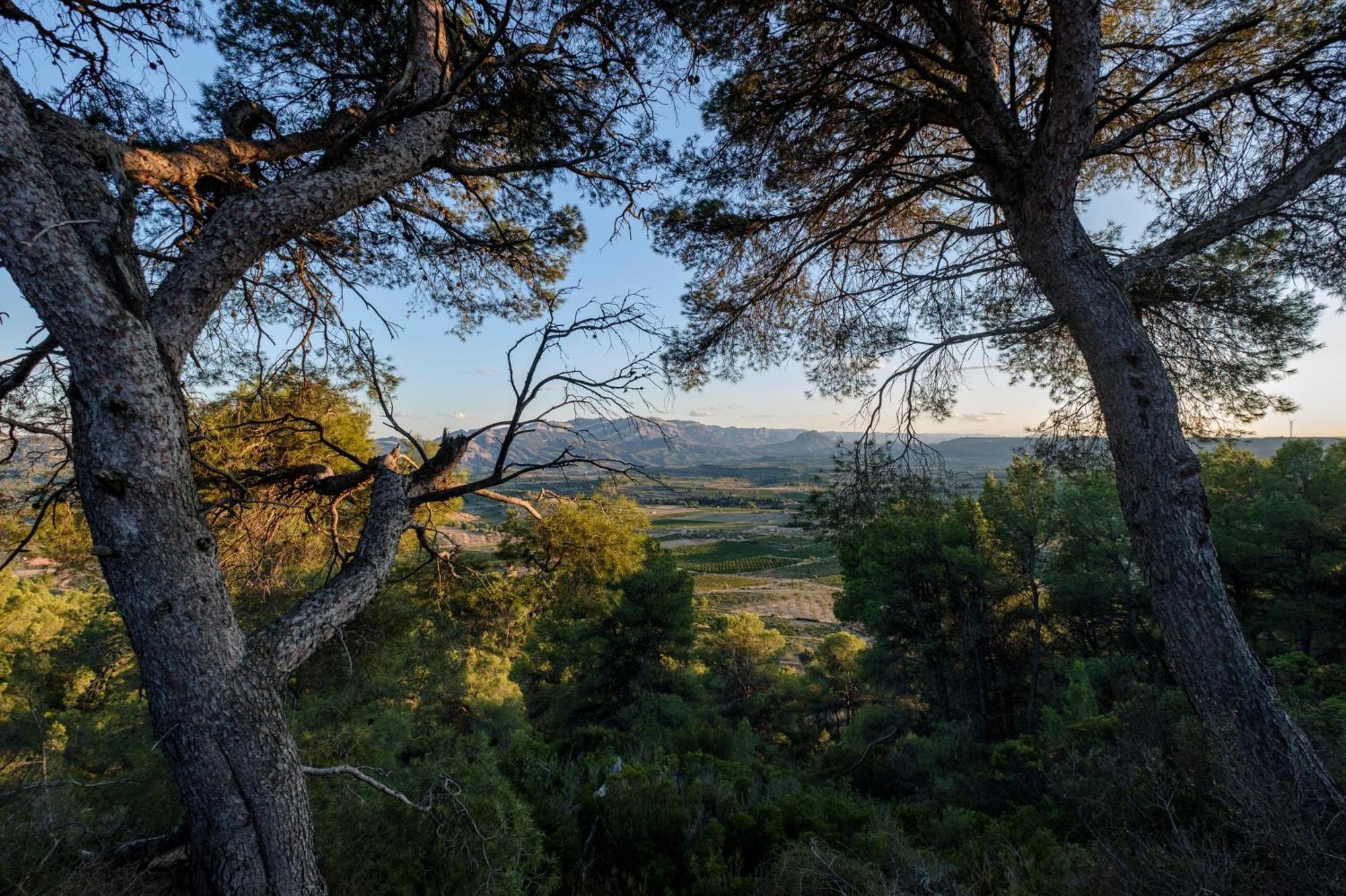 Enoturismo Celler Pinol Apartment Batea ภายนอก รูปภาพ
